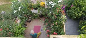 Oyster Marris Homestays