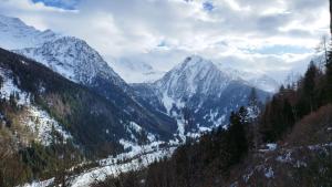 Maso dei Sogni - Vermiglio Tonale