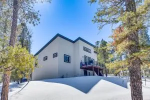 Modern Florissant Mountain Retreat with Deck and Grill - Divide
