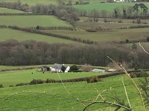 Shepherds Hut-hot tub hire-dog friendly-views