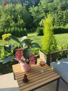 Kereka cosy house - Koreka