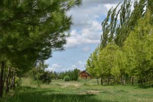 Finca La Vilina - Cabaña 1