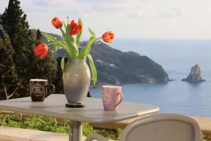 Alibertini Studios - Kamára