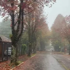 Luz da montanha ,quartos para locação em meu apartamento! - Picada Cafe