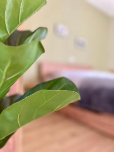 Edessa Woodland Retreat