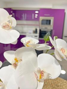 Reformado. Plaza de Toros. AC