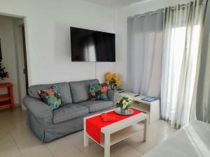 Apartment Vincent, cozy and sunny over the rooftops