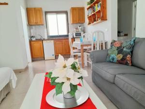 Apartment Vincent, cozy and sunny over the rooftops