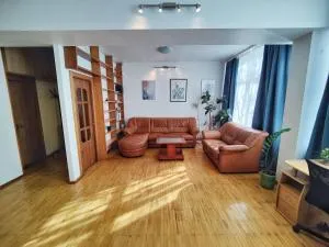 Spacious apartment near old town - 维尔纽斯