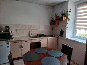 Apartament „Sowa” jezioro 250m, góry