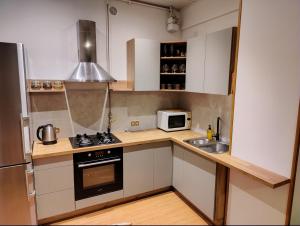 Spacious apartment near old town