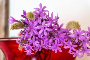 Quiet stone house near Plakias