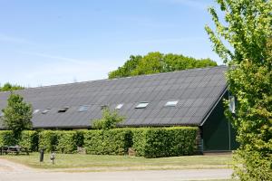 Three-Bedroom House room in Horsetellerie Rheezerveen