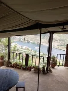 Tomás Barqueiro - Gouvinhas