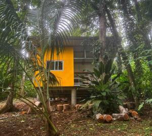 Tiny jungle house, few minutes from the beach, Cocles