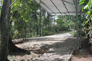 Tiny jungle house, few minutes from the beach