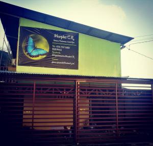 Apartamento 2 habitaciones - Morpho CR