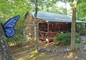 Laurel Creek- Blue Ridge - Chestnut Gap