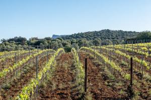 Sos Ferres Den Morey