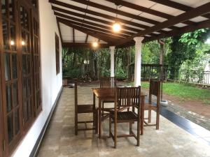 Lions Girl Nature Bungalow