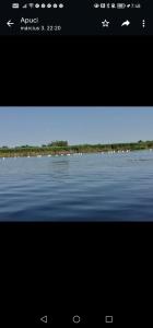 Pensiunea Ákos Delta Dunarii