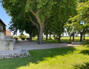 Maisons de vacances Le Domaine de Laforest : photos des chambres