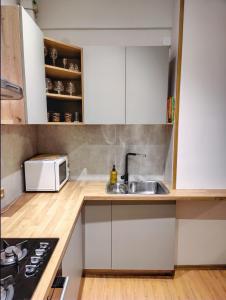 Spacious apartment near old town