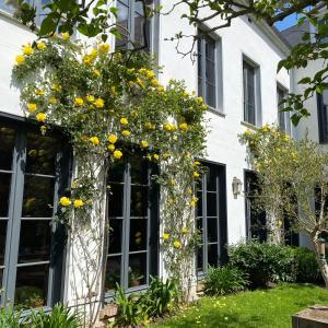 B&B / Chambres d'hotes Cote Baie : photos des chambres