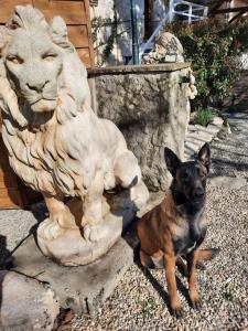 gîte des 2 Lions