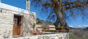 Hatzanario Apeiranthos - Dhanakós