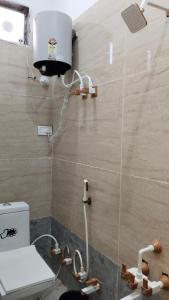 Hotel Manasvi Palace