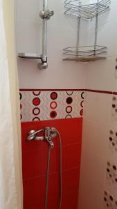 Naiza Guesthouse and Apartments