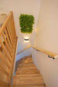 Maisons d'hotes DISNEYLAND 5mn Charming House Giardino della Felicita : photos des chambres