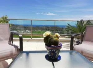 Falcon y Golf - Almendricos