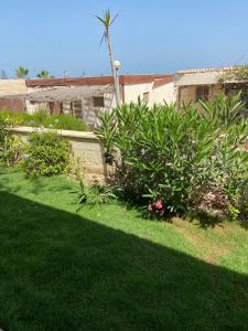 Cheerful 3 bedroom home with garden