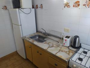 Departamentos Familiares Rosas Rojas