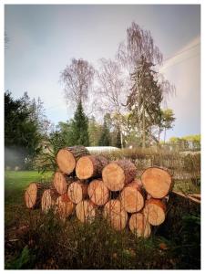 The House Stiller Grund