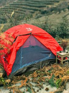 Zhangjiajie National Forest Park Camping