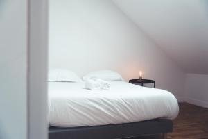 Appartements L'Ame de l'Artiste - Quartier Velpeau : photos des chambres