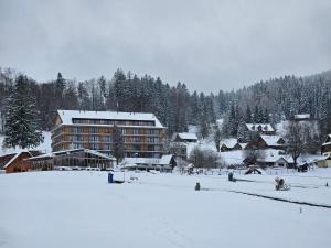 DeLuxe apartmán s terasou Janské Lázně 3 Ski&Bike by AlkaTravel