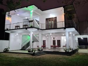 Jungle Lodge