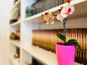 Rákóczi Boulevard 47