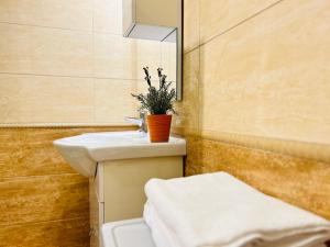 Rákóczi Boulevard 47