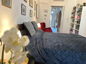 Rákóczi Boulevard 47