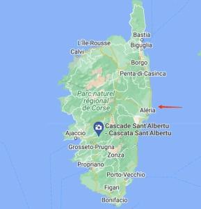 Appartements appartement bord de mer en Corse avec 2 piscines 100 metres de la plage : photos des chambres