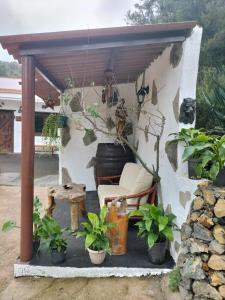 Finca Aurora Ecorural