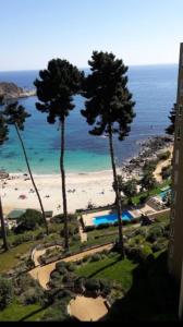 Pinares del Canelillo, Algarrobo, Chile