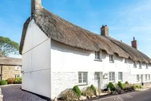 Moonrakers - Hope-Cove