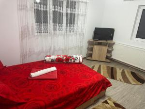 Casa de vacanța Ovy