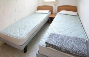 Pet Friendly Apartment